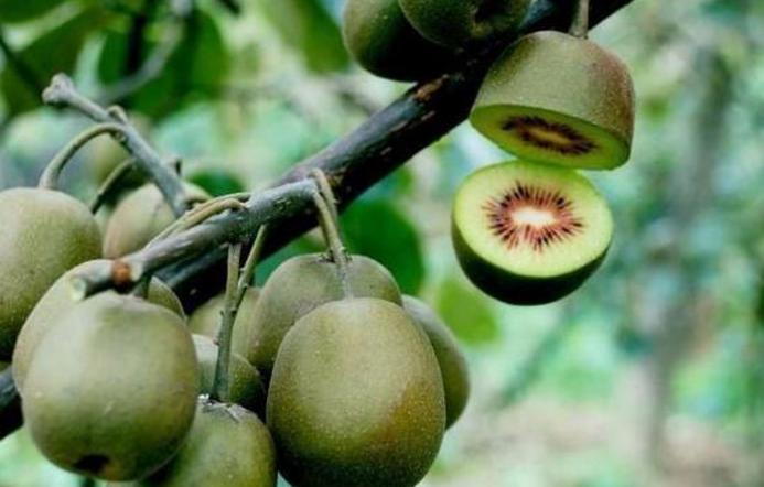 胃不好有胃病的人需要注意哪几点,胃不好的8种人不能吃