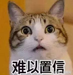 合肥企业代缴社保机构,在合肥交社保