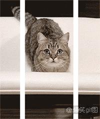 裸眼3d图怎么看出来的,裸眼3d怎么看图有技巧