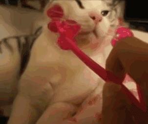 瘦脸美容仪器推荐,日本瘦脸神器有用吗