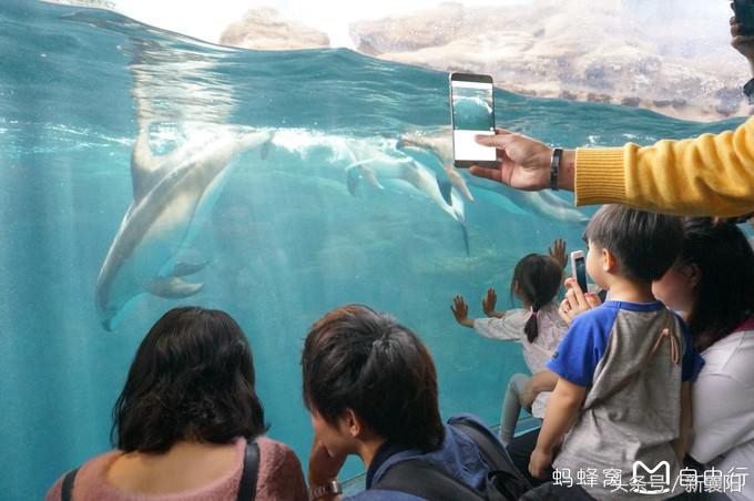 带娃去日本一周自由行,带四岁孩子去日本穷游攻略