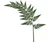 如何才能买到正品又便宜,花更少的钱买最好的东西