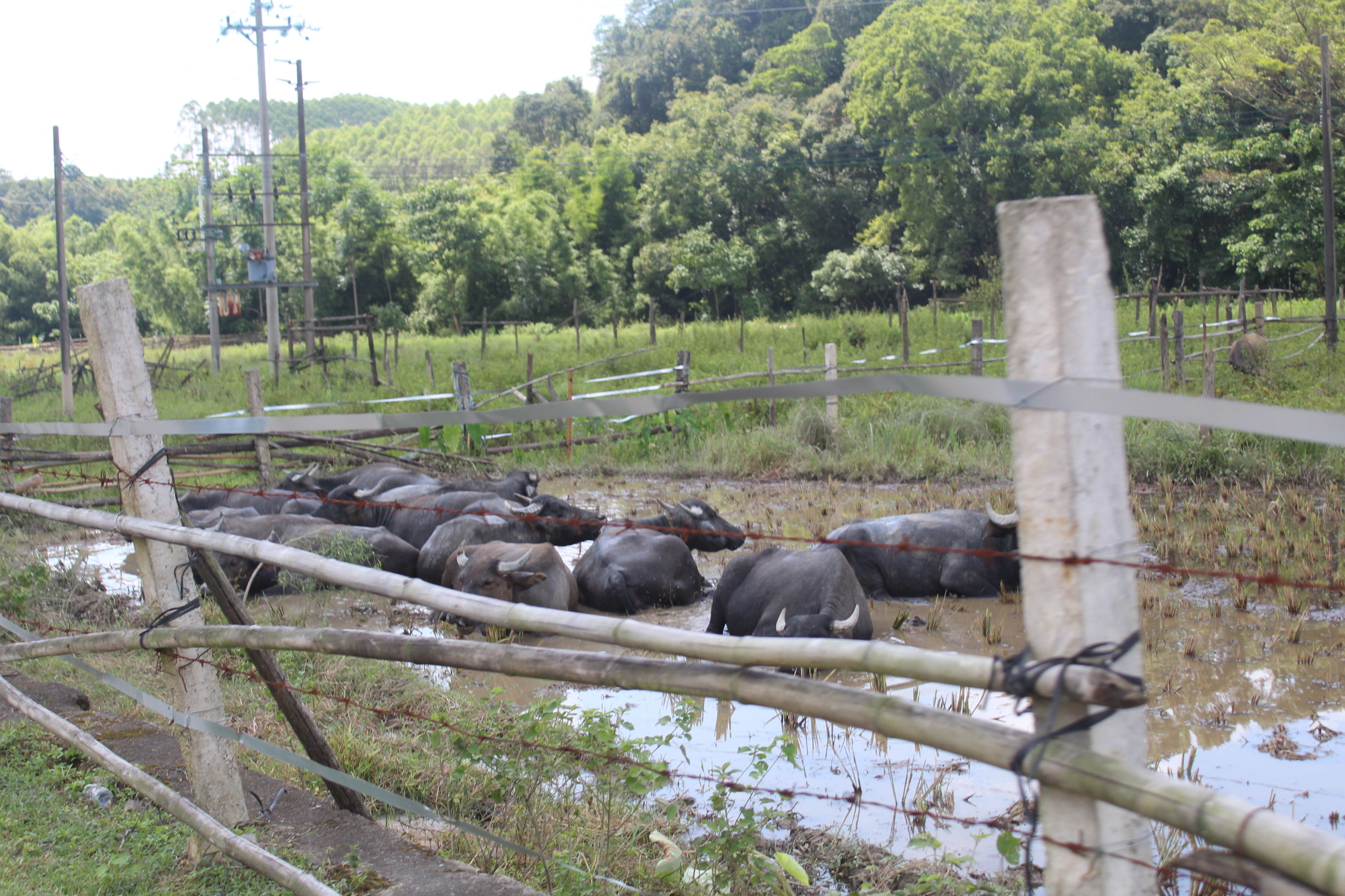心系河源情归忠信——第二集走进无人区中洞村（下）