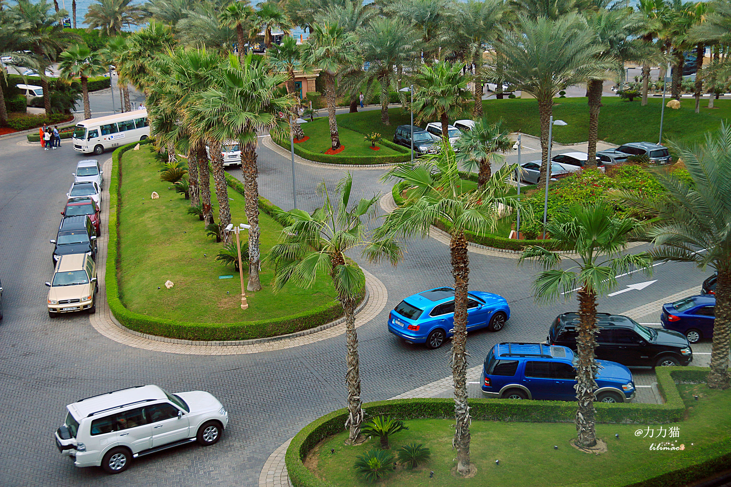 阿联酋：谁富有要看门口的树