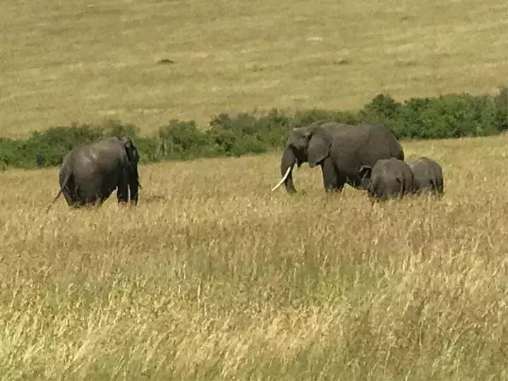 曾哥美国视频,曾哥美国