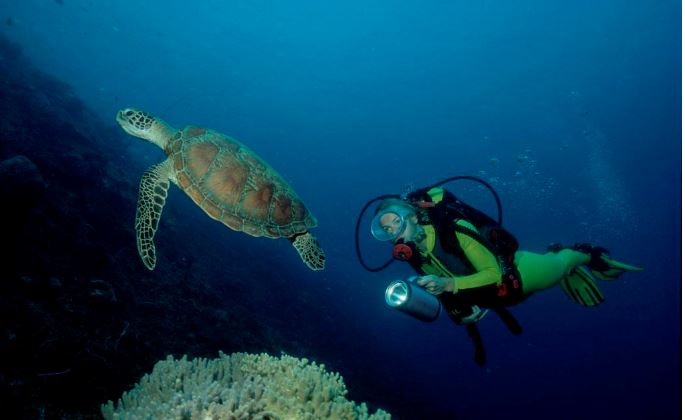 明星的马尔代夫之旅,明星去马尔代夫旅游