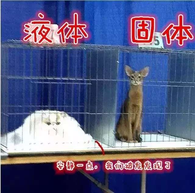 今年诺贝尔医学奖发明了什么,盘点最奇葩的发明