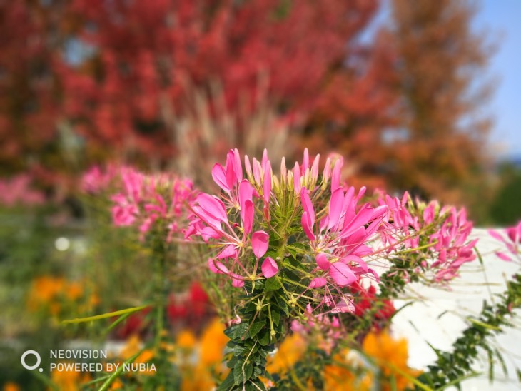 努比亚z17minis侧面照片,努比亚z17minis体验