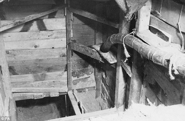 十种最不可思议的越狱行动,匪夷所思越狱完整版