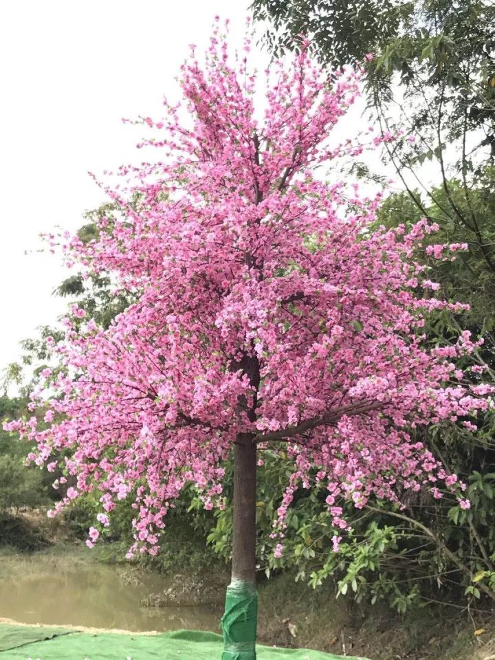 双十一光棍节活动主题,双十一光棍节图集