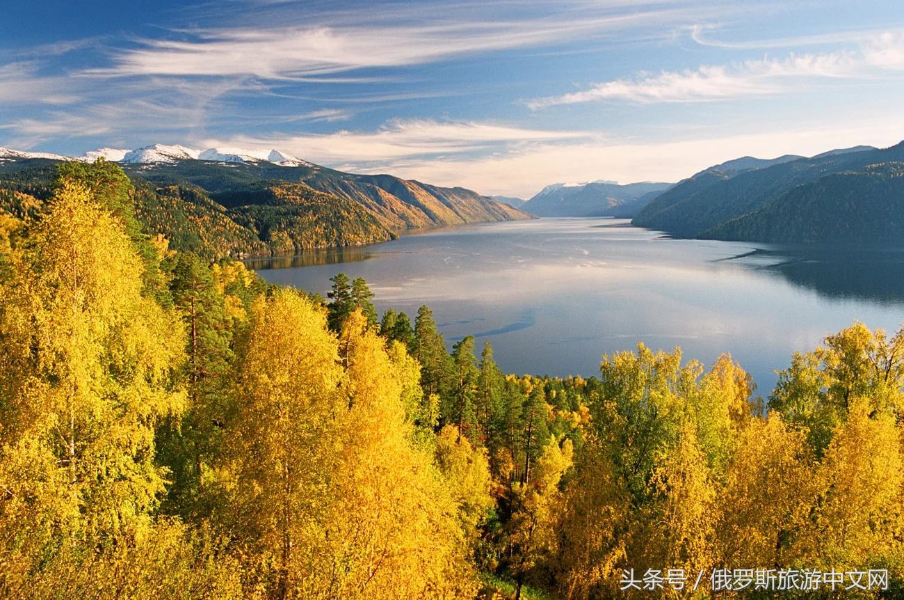 坑人的坑,坑人的坑在哪里