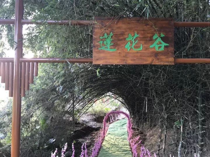 双十一｜光棍节，惠州紫溪半岛*光脱**攻略