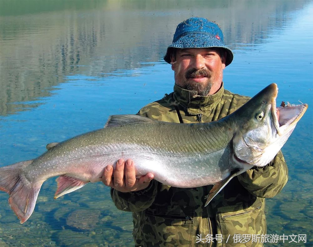 坑人的坑,坑人的坑在哪里