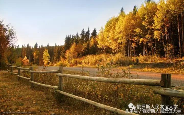 俄罗斯的秋天视频,俄罗斯的深秋美景