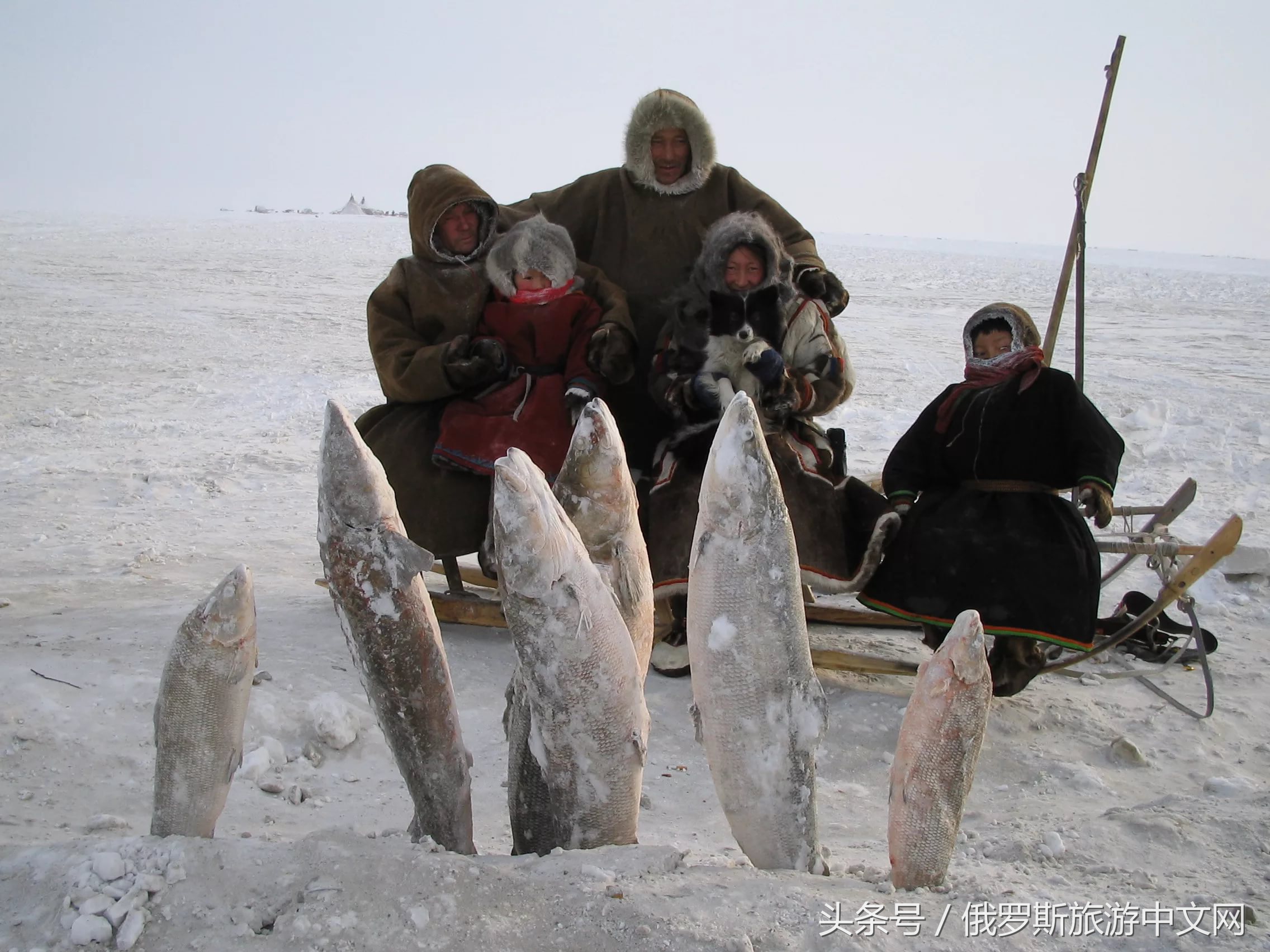 坑人的坑,坑人的坑在哪里