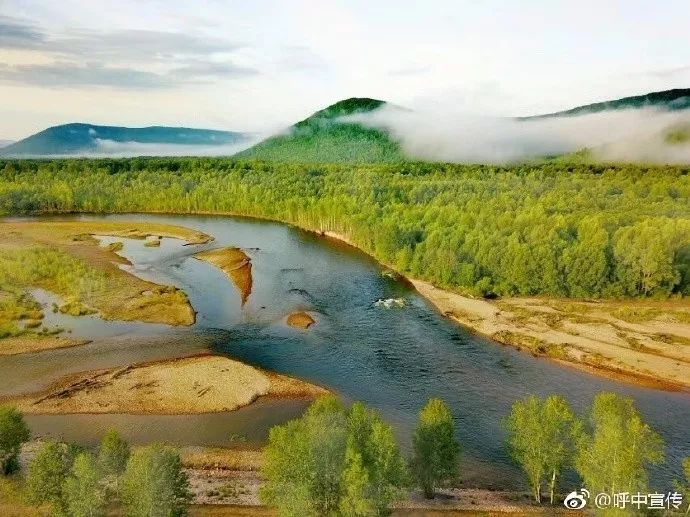 对不起我要去学校了模板,对不起我要去天津了