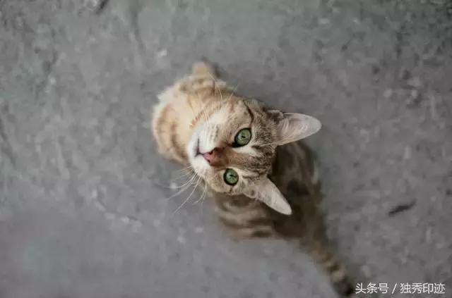 拍照模糊了怎么解决,拍照模糊如何去掉