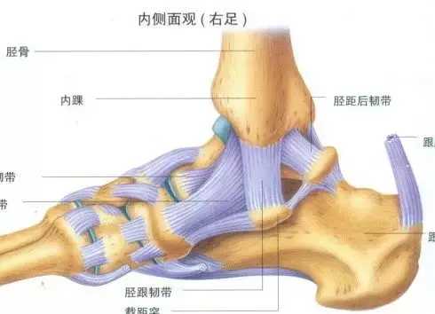 崴过脚以后你的脚还是疼怎么办,崴过的脚恢复好后总疼