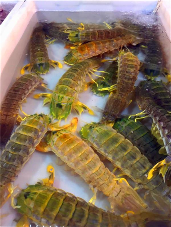 我到过许多地方是指哪里,我去过的地方皆是你看过的风景