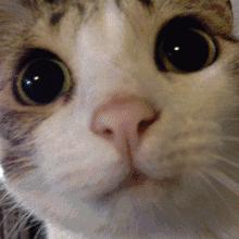 涂抹式水光针真的有用吗,涂抹式水光针能每天使用吗