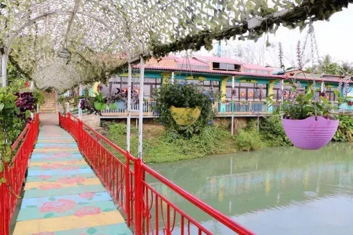 世界第二大薰衣草庄园,亚洲最大的薰衣草庄园