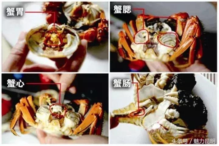 昆明张先生吃完螃蟹,第二天下不了床!这个问题你也有