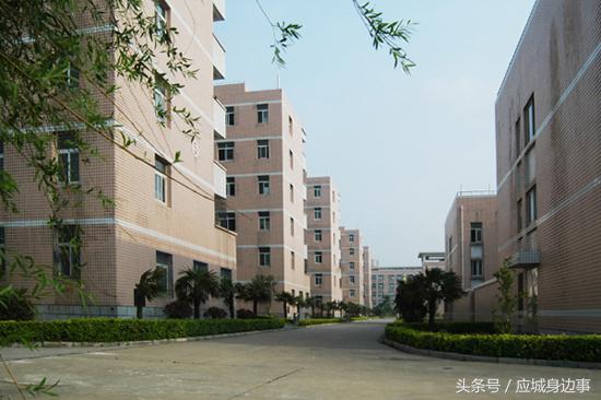 湖北应城天鹅中学,应城一中录取名单