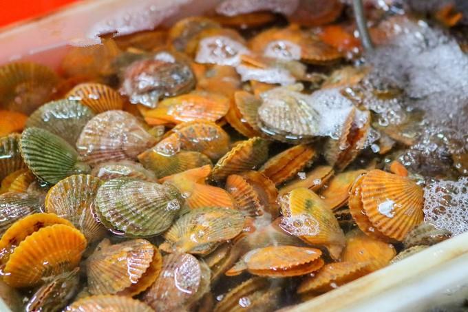 预支一段未来的旅行,带着父母去度假——三亚