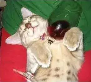 石家庄高中放假时间2022寒假通知,石家庄高校寒假放假最新通告