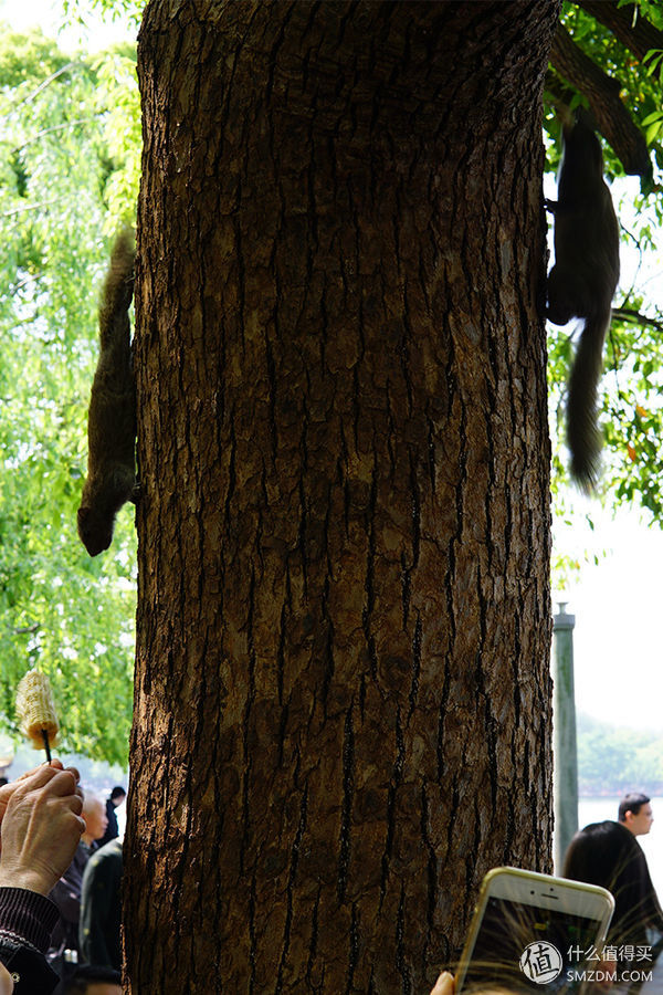 索尼a6000微单使用教程,索尼a6000微单拍摄教程