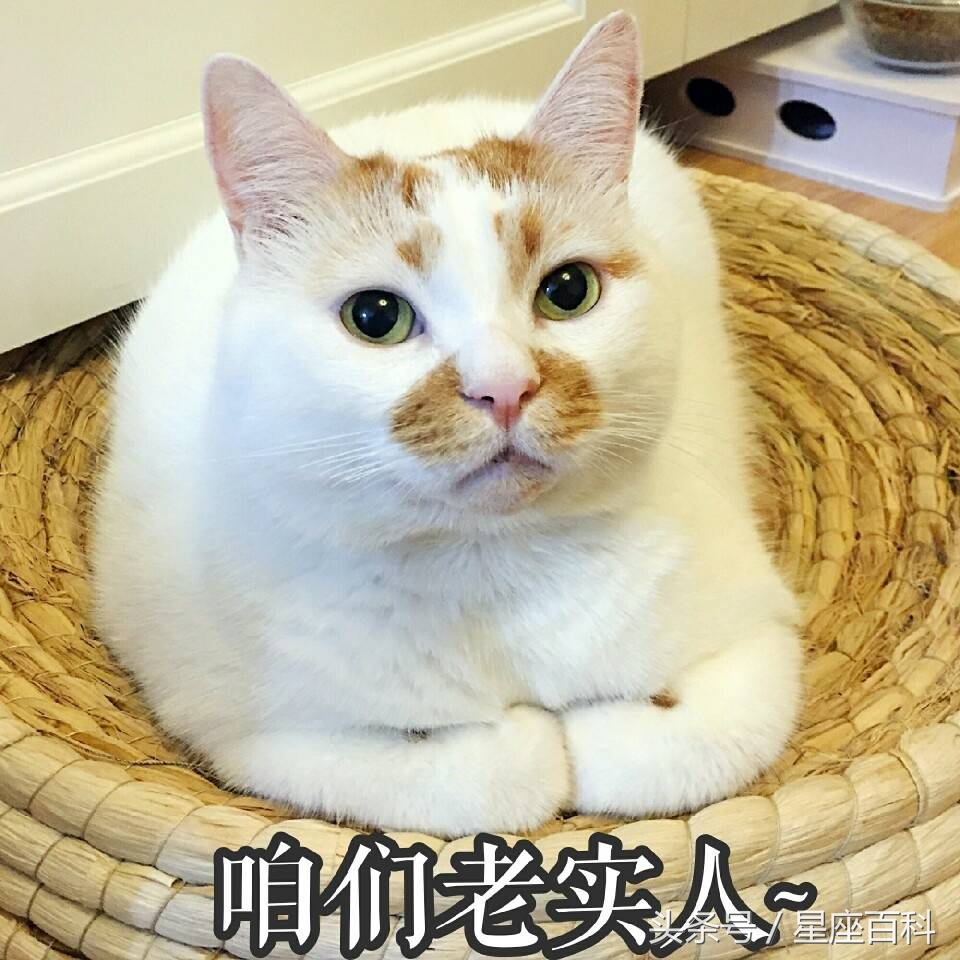 谎言最多的是什么星座,12星座的谎言