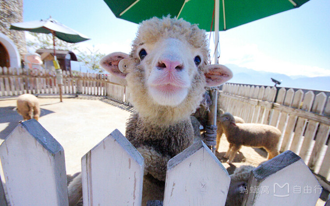 台湾十大离岛旅游攻略,台湾旅行哪些景点需要提前订票