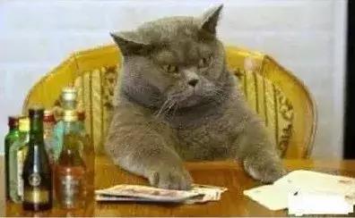 石家庄高中放假时间2022寒假通知,石家庄高校寒假放假最新通告