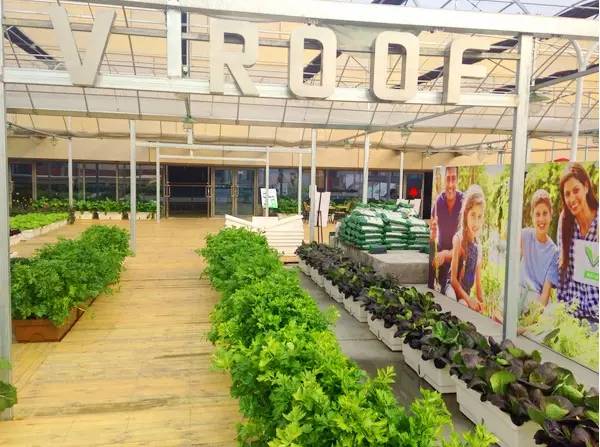 购物中心绚丽屋顶,有特色的购物中心空间设计