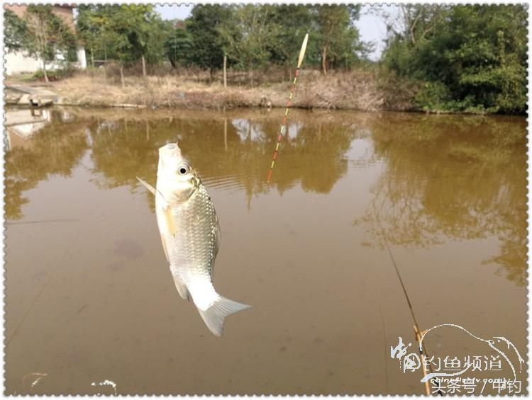 国庆节的来历,国庆头像