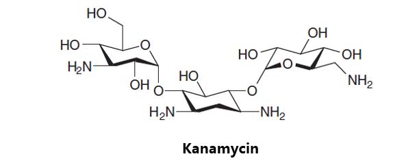 肺结核药物的研发流程,肺结核有可能研发特效药
