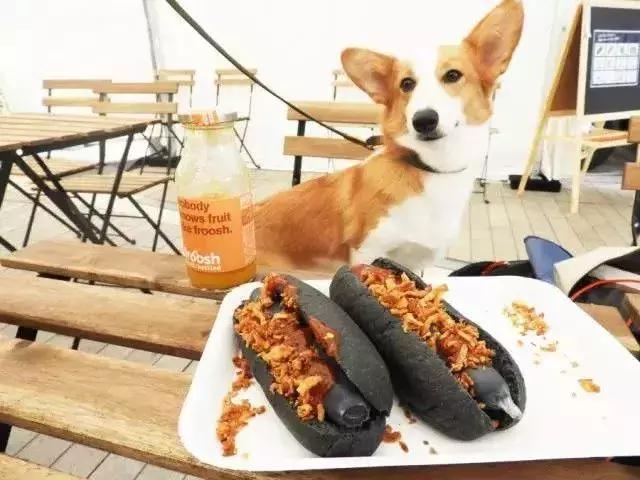 日本代购热销产品,日本代购哪些产品畅销