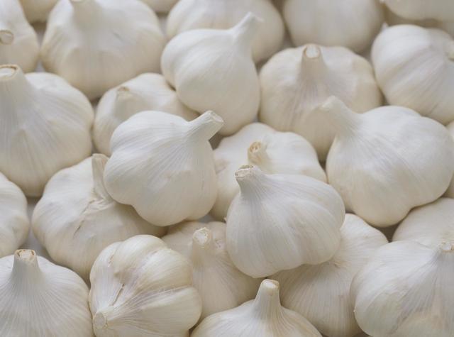 农业种植怎样结合互联网,互联网如何推广种植业