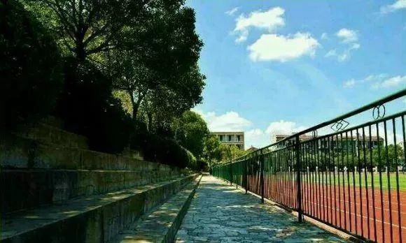 匆匆那年怀念学校,匆匆那年校园回忆