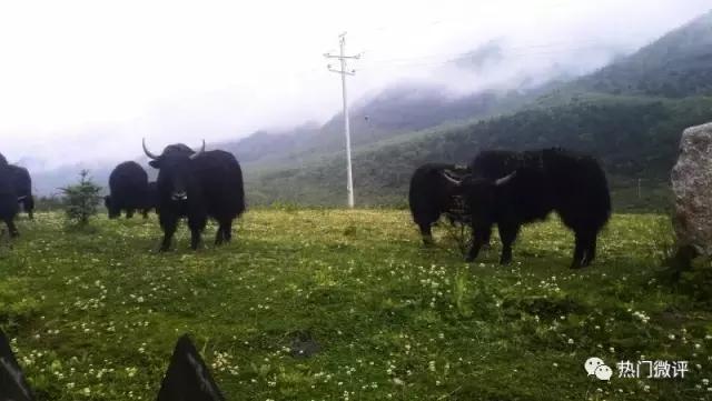 精彩在路上,精彩一直在路上