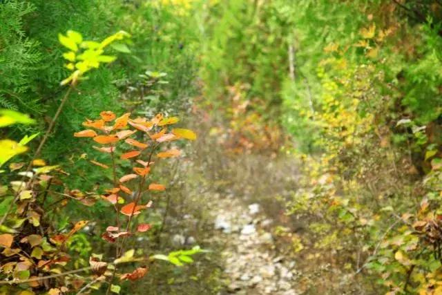 昌平公园的风景,北京昌平滨河免费公园