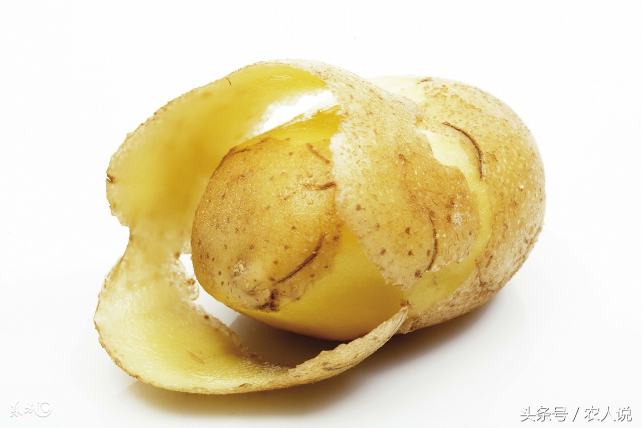 2022年土豆批发价格,2020年7月20日山西土豆批发价格