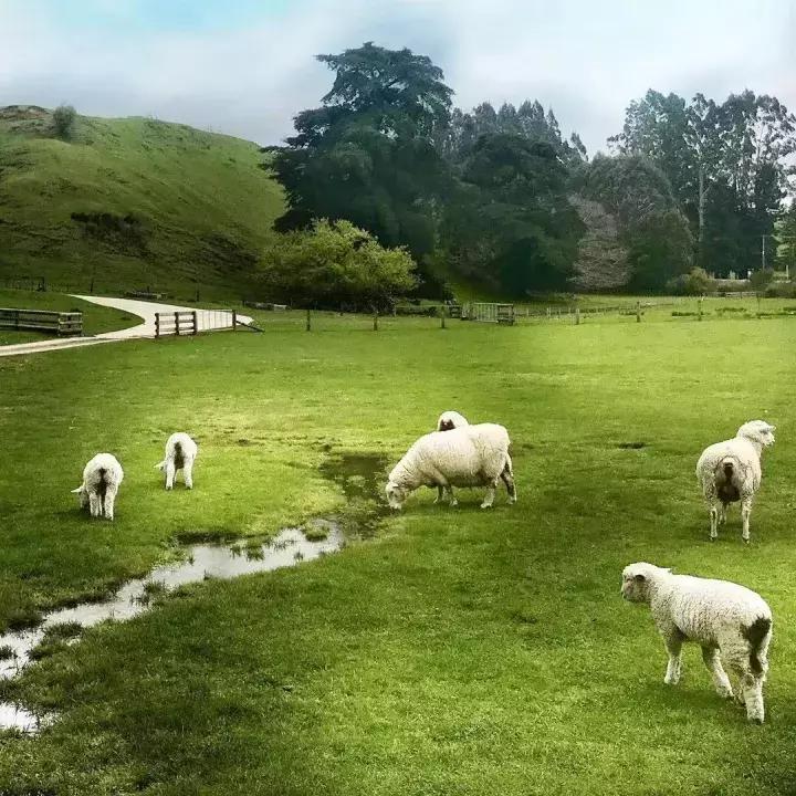 手机拍照拍不出你们的美感,拍照不好看是手机的问题