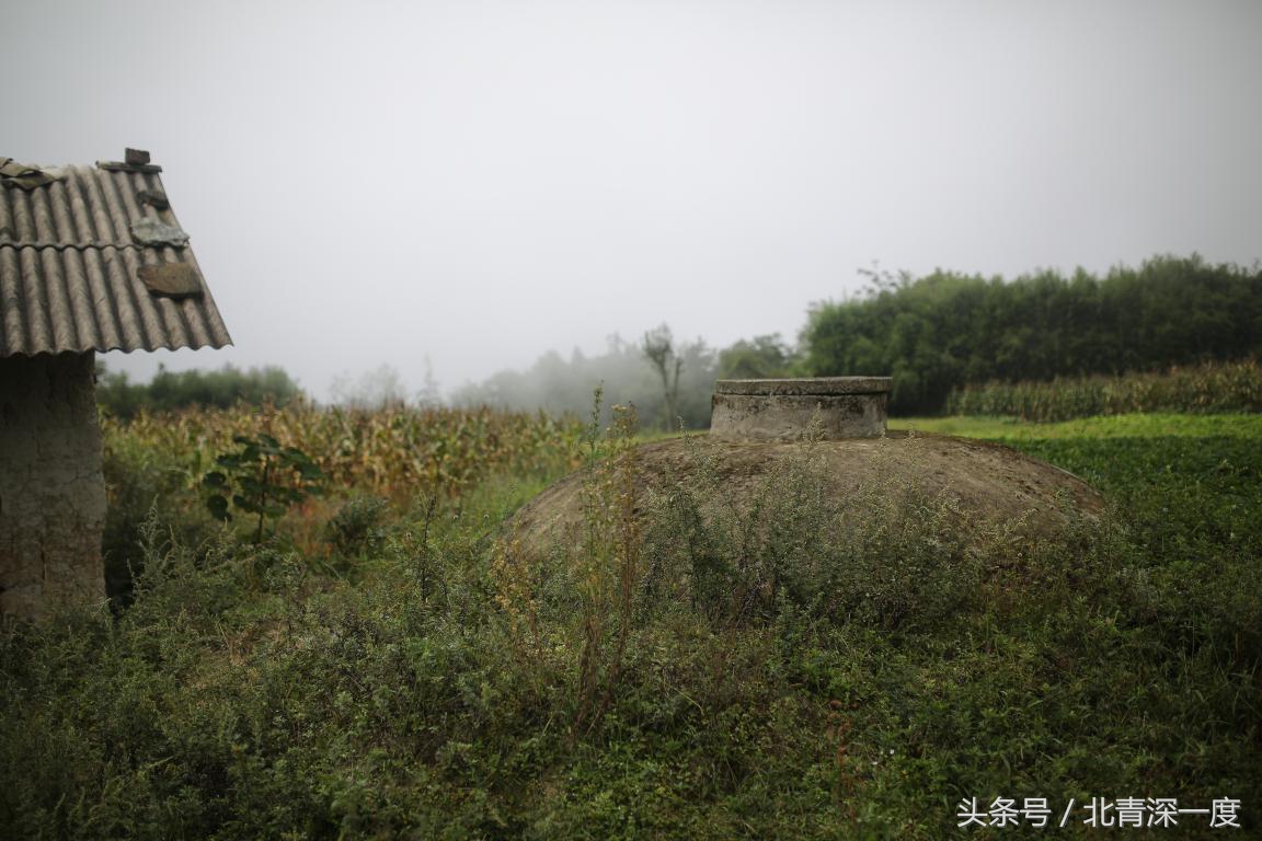 「看见」泥坑里的“鹿晗”和吃土豆的孩子：80张图，读懂中国脱贫