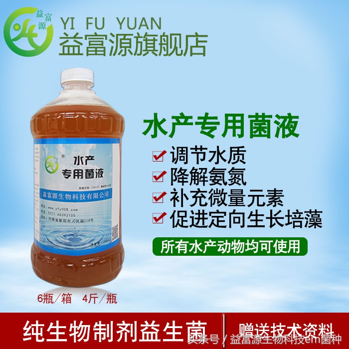 水产养殖泥鳅师傅,水产养殖网箱泥鳅