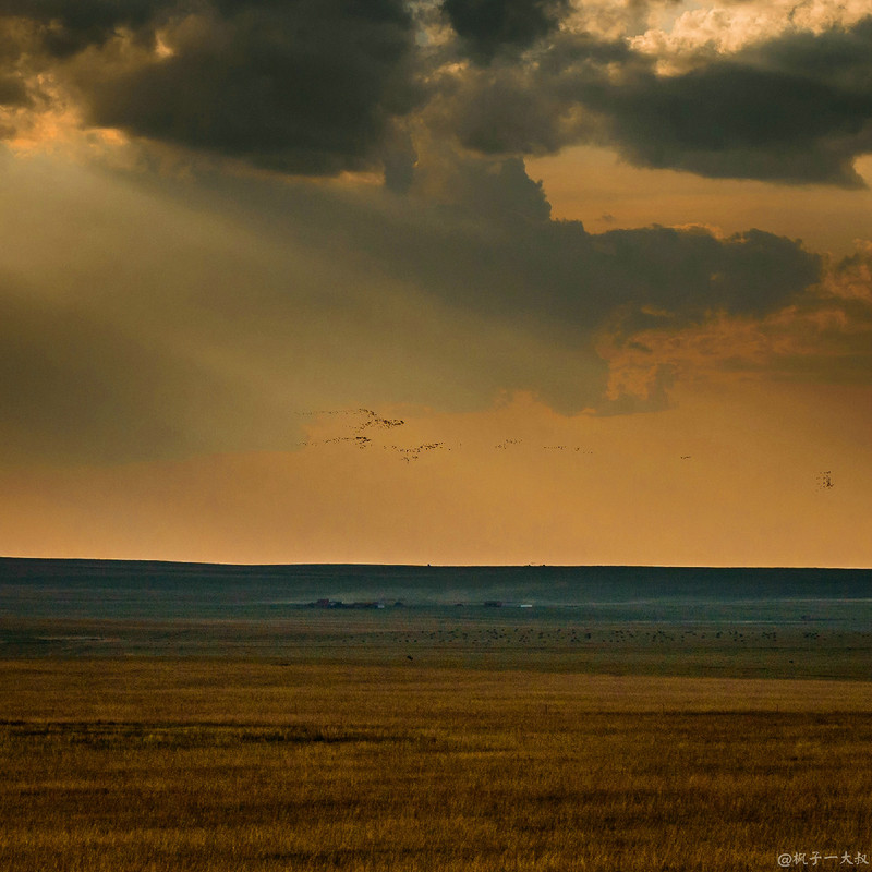 草原金秋美景图片,蓝天白云大草原的美图