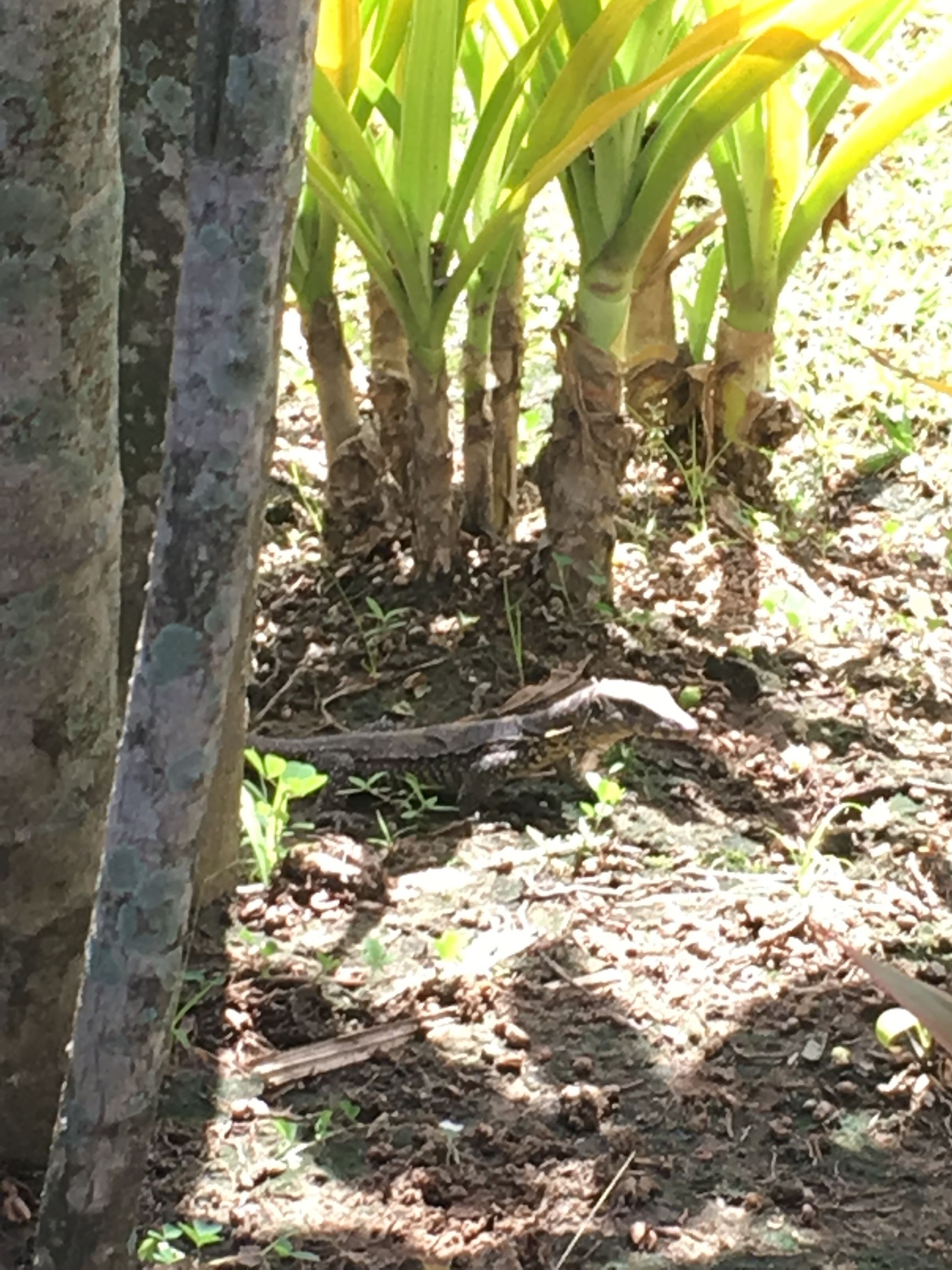 马来西亚沙巴6天5晚浪漫之旅,沙巴亲子游攻略四天三夜