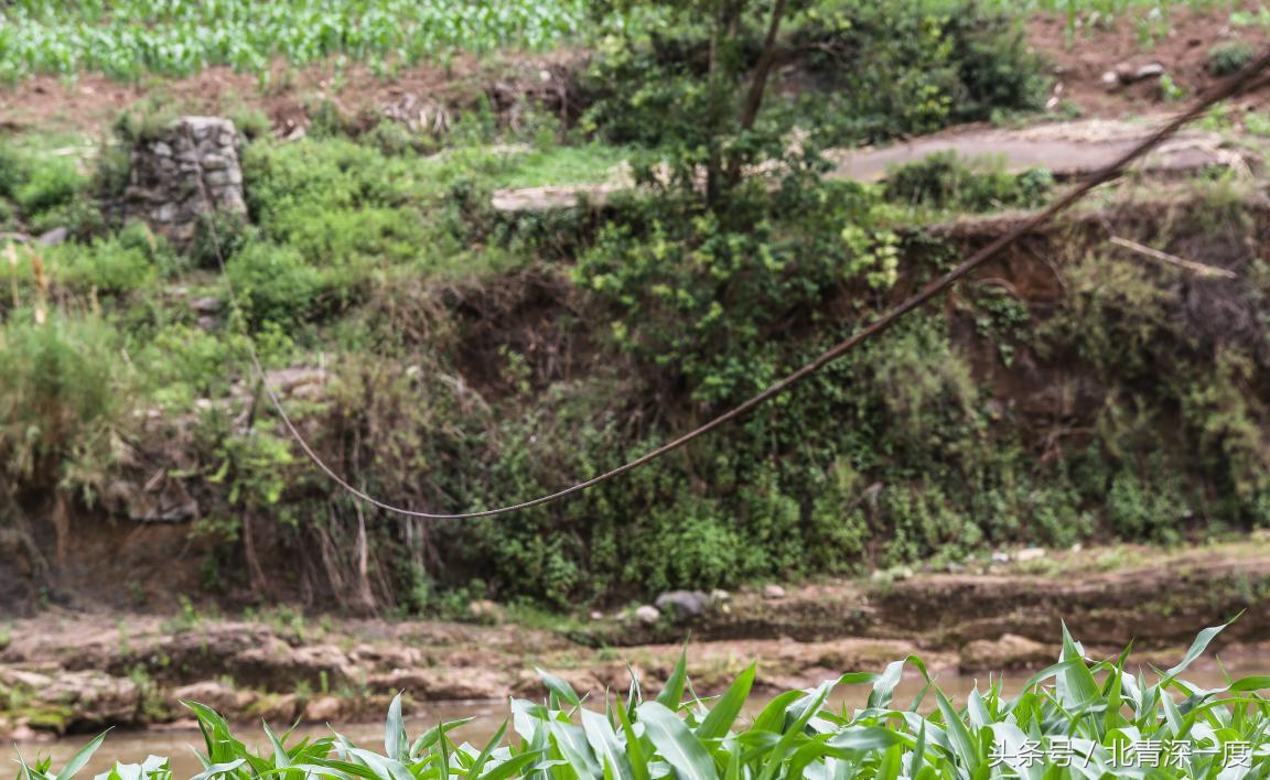 “鹿晗”在泥坑，妈妈在远方，你习以为常的幸福对他们却遥不可及
