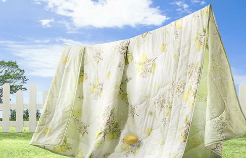 猫癣在治疗的过程中传染吗,猫癣能传染成年健康猫吗