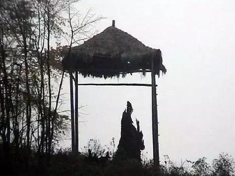 美雪哭了视频完整版,冬天的西岭雪山风景